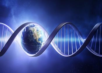 Gyvybės etikos teorija